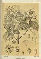  no thumbnail available