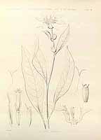  no thumbnail available