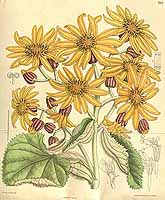  no thumbnail available