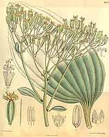  no thumbnail available