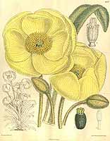  no thumbnail available