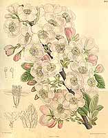  no thumbnail available