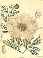  no thumbnail available