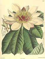  no thumbnail available