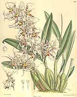  no thumbnail available