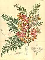  no thumbnail available