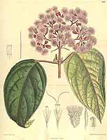  no thumbnail available