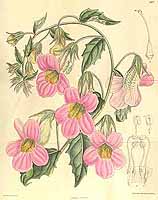  no thumbnail available