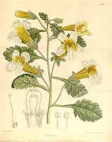  no thumbnail available