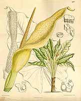  no thumbnail available