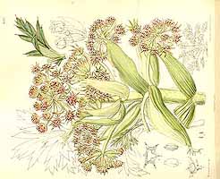  no thumbnail available