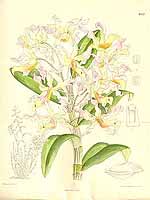  no thumbnail available