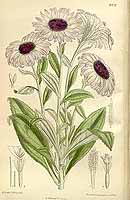  no thumbnail available