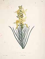  no thumbnail available