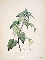  no thumbnail available