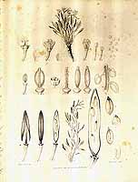  no thumbnail available