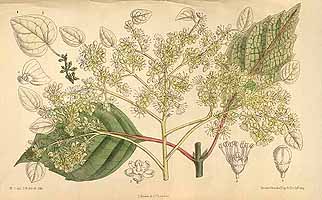  no thumbnail available