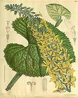  no thumbnail available