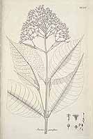  no thumbnail available