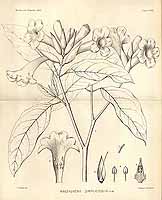  no thumbnail available