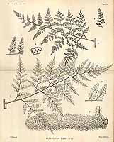  no thumbnail available