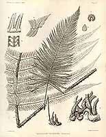  no thumbnail available