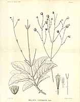  no thumbnail available