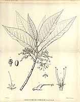  no thumbnail available