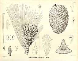  no thumbnail available