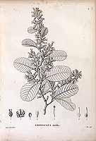  no thumbnail available