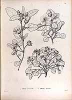  no thumbnail available