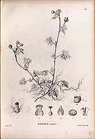  no thumbnail available