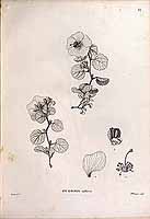  no thumbnail available