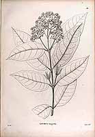  no thumbnail available