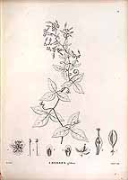  no thumbnail available