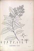  no thumbnail available