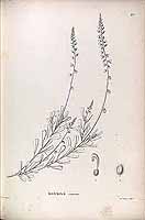  no thumbnail available