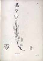  no thumbnail available