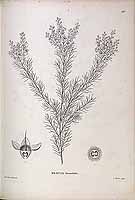  no thumbnail available