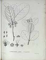  no thumbnail available