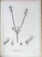  no thumbnail available