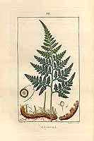  no thumbnail available