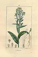  no thumbnail available