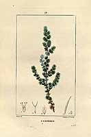  no thumbnail available