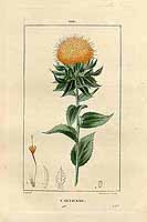  no thumbnail available