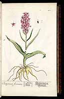  no thumbnail available