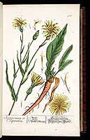  no thumbnail available