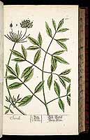  no thumbnail available