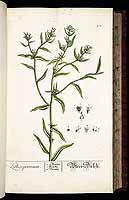  no thumbnail available