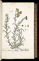  no thumbnail available